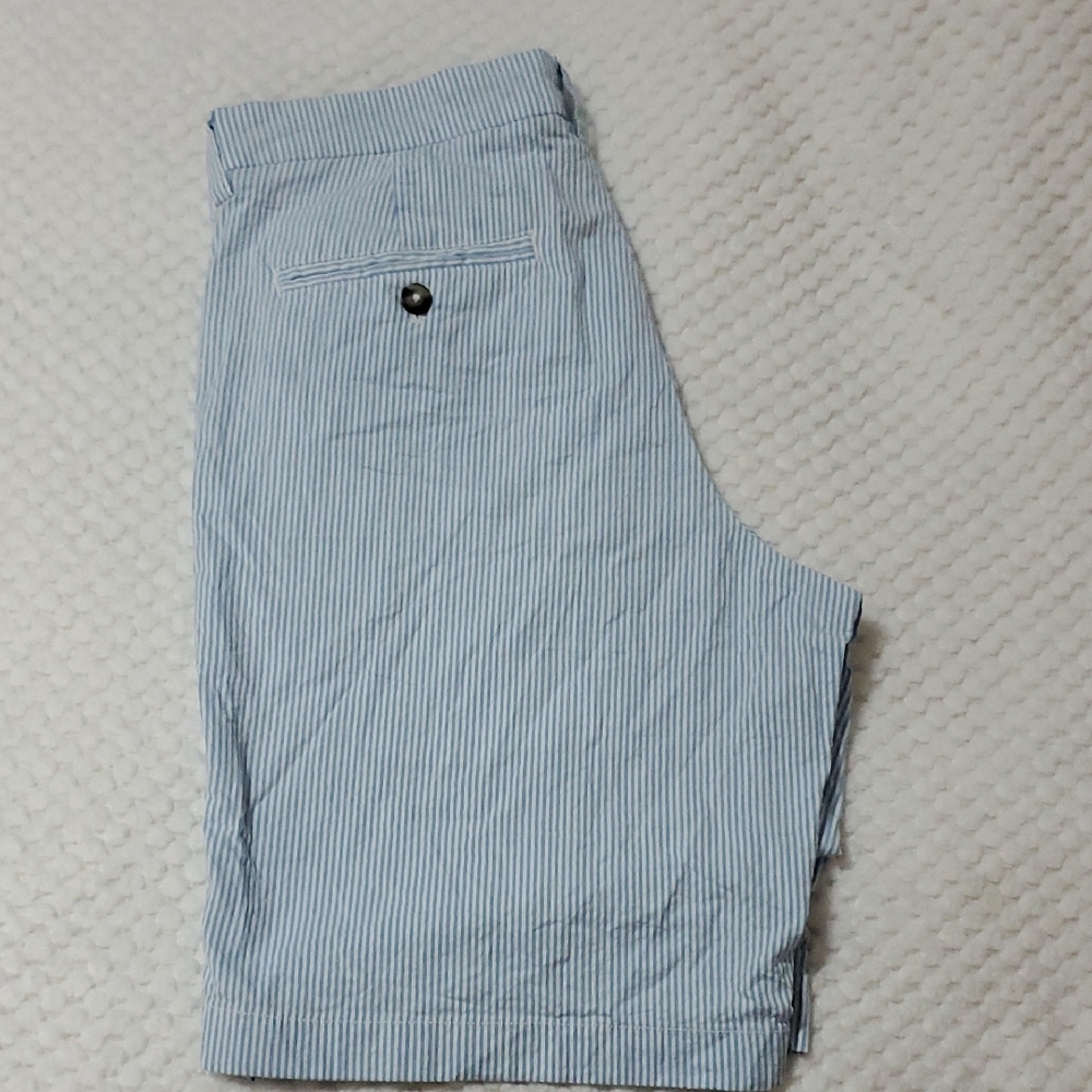 Vineyard Vines Light Blue Striped Flat Front Shorts - Picture 5 of 7